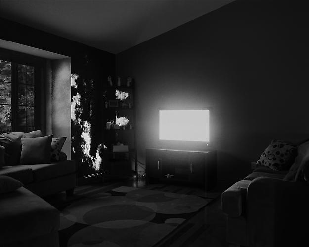 Angela Strassheim, Evidence No. 11, 2009