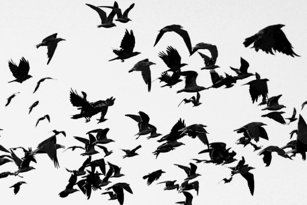Zoe Strauss, Harold J. Landry Landfill_2104. Berwick, LA. September 8 2017, Archival Inkjet Print 