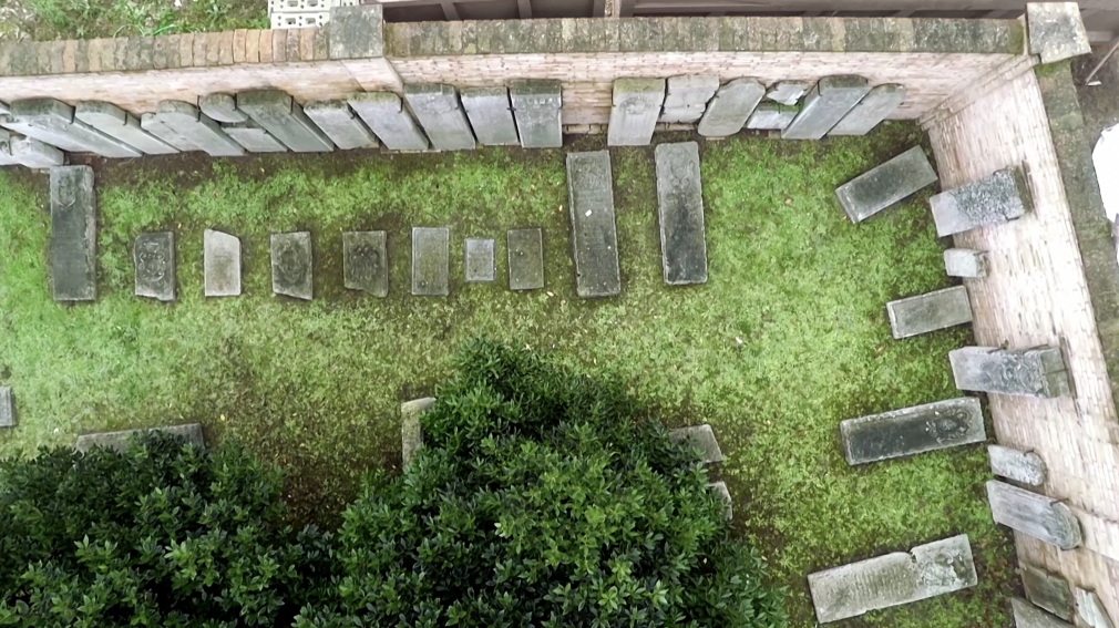 The House of Life, 2016