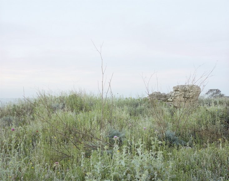 SHARON YA'ARI, Tel Yavne Archaeological Mount, Winter (right), 2013
