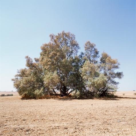NAOMI LESHEM Tom, from the series Centered, 2012