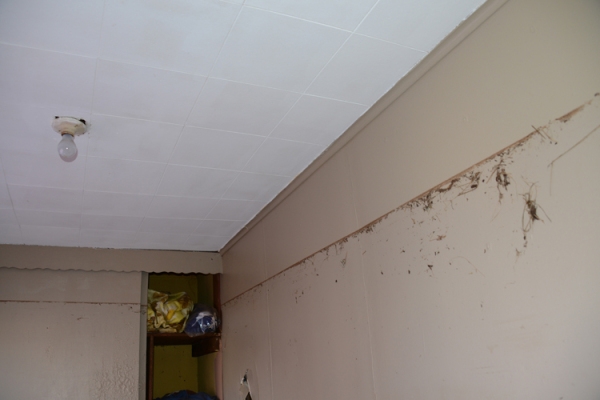 Zoe Strauss, Front Room Waterline at Jimmy Rossi’s Home. Staten Island, NY. Dec 5, 2012, Archival Inkjet Print 
