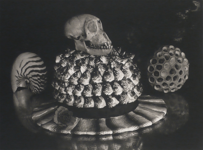 Michiko Kon ARTISTS MICHEL SOSKINE INC.