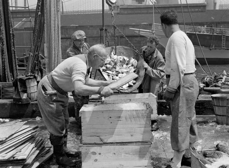 GLOUCESTER FISHERMAN AND FULTON FISH MARKET, 1943 Photography Archive