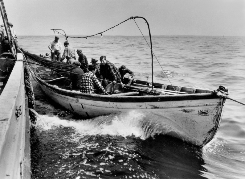 GLOUCESTER FISHERMAN AND FULTON FISH MARKET, 1943 Photography Archive