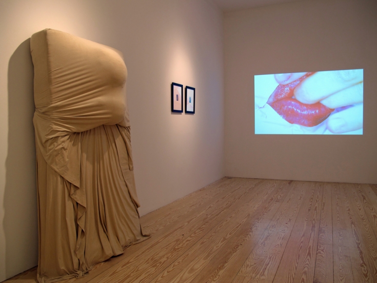 Hair and Skin, installation view at Derek Eller Gallery, New York 