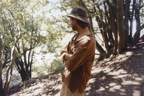 Glade, 2003, c-print
