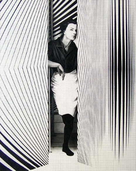 Bridget Riley, 2003, graphite on paper