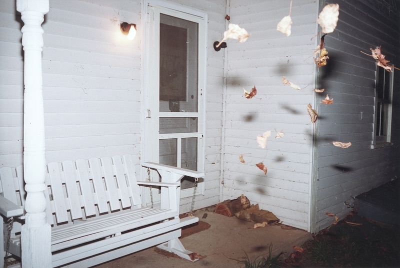 Falling Leaves, 2001, c-print 
