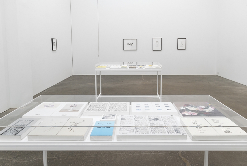 installation view