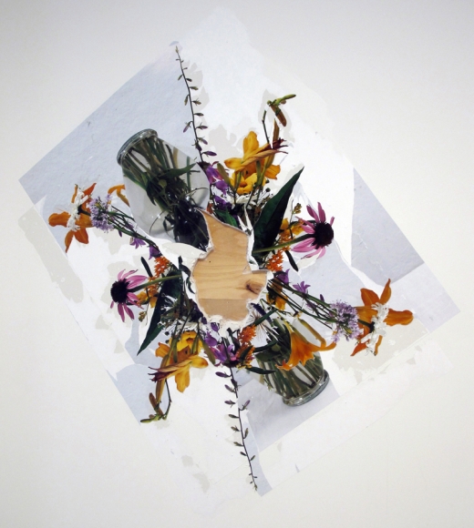 Perverted By Language, 2011, Inkjet photographs mounted on wall, with wall removal