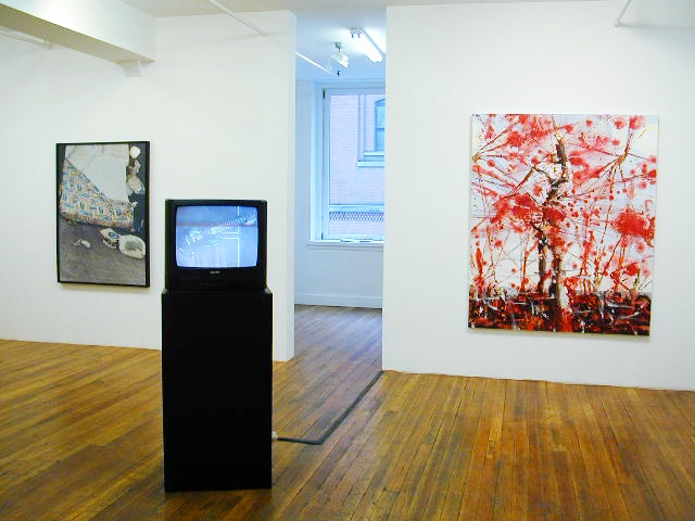 transnational monster league, installation view at Derek Eller Gallery, New York 