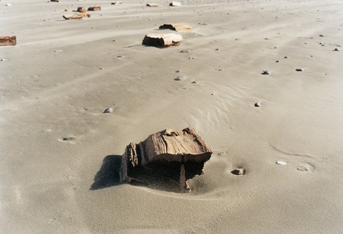 Log, 2004, c-print