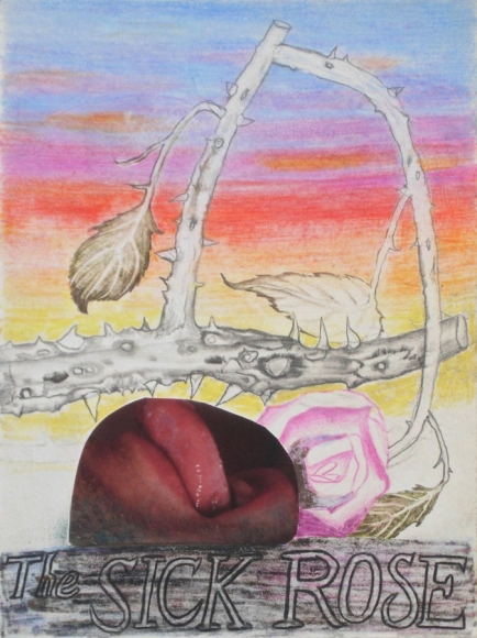 The Sick Rose #9, 2015, Color pencil, graphite and collage on paper 