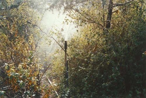 Sprinkler, 2004, c-print