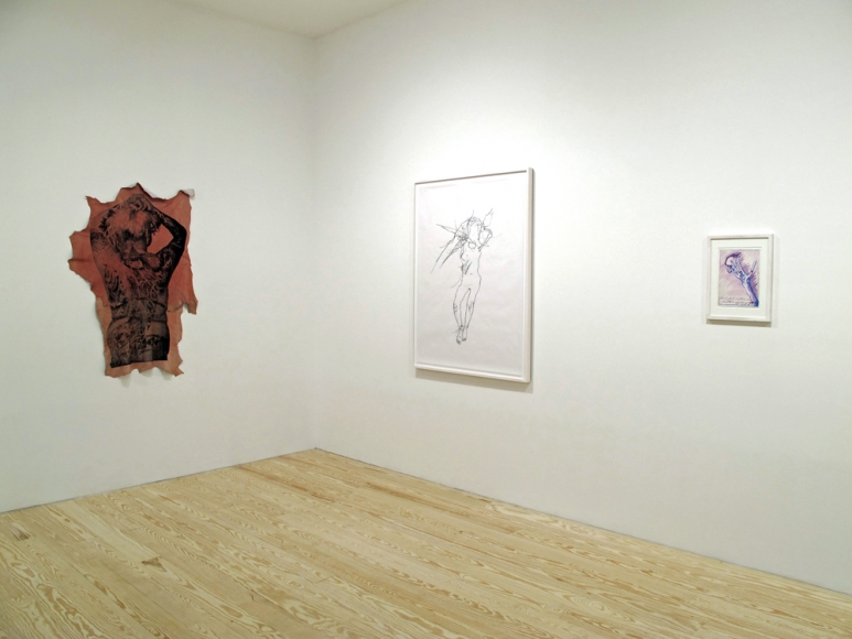 Hair and Skin, installation view at Derek Eller Gallery, New York 