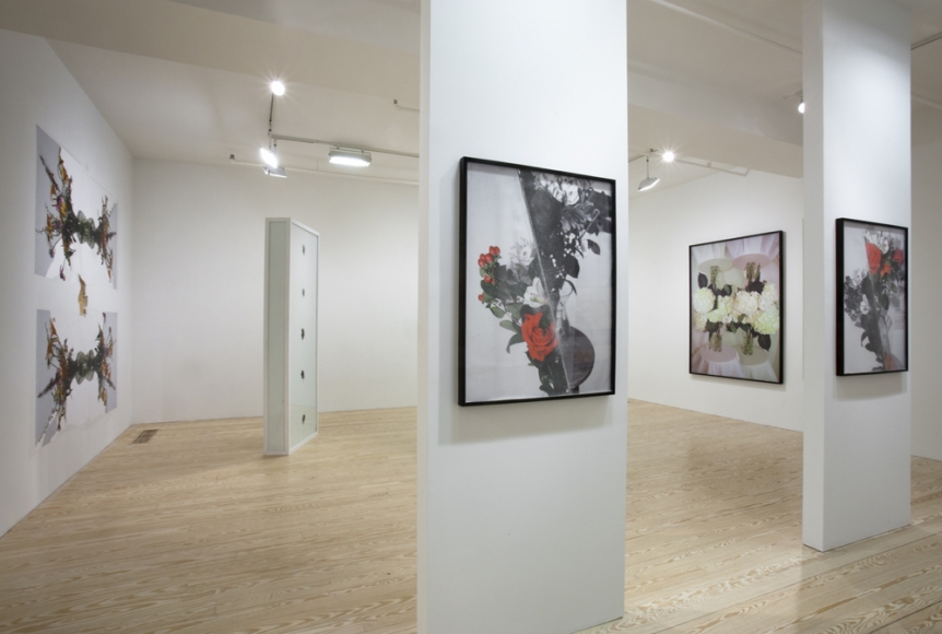 Adam Marnie, Locus Rubric, installation view at Derek Eller Gallery, New York 