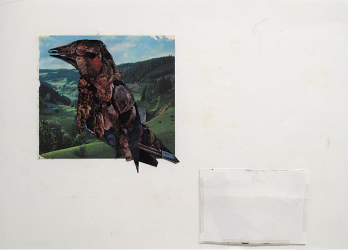 Tom Thayer