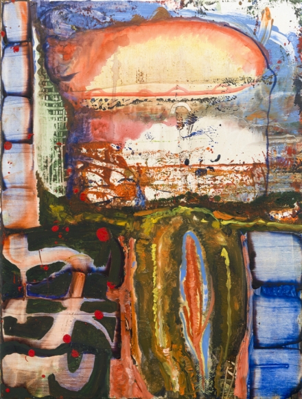 Steve DiBenedetto