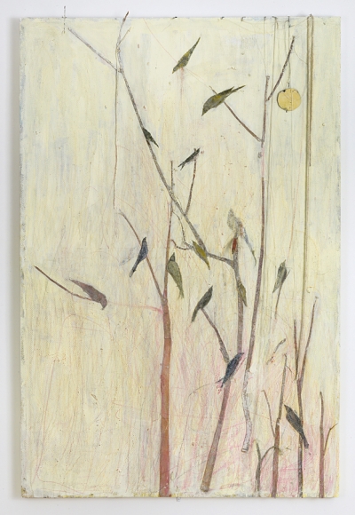 Tom Thayer