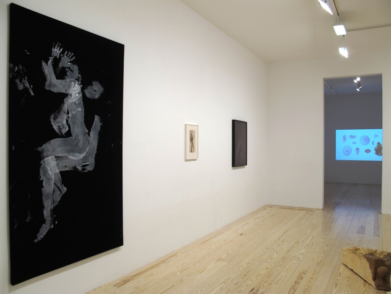 Hair and Skin, installation view at Derek Eller Gallery, New York 