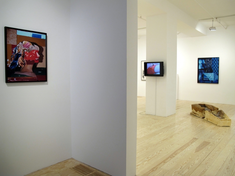 Hair and Skin, installation view at Derek Eller Gallery, New York 