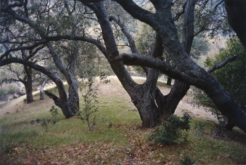 Curvature of the Earth, 2004, c-print