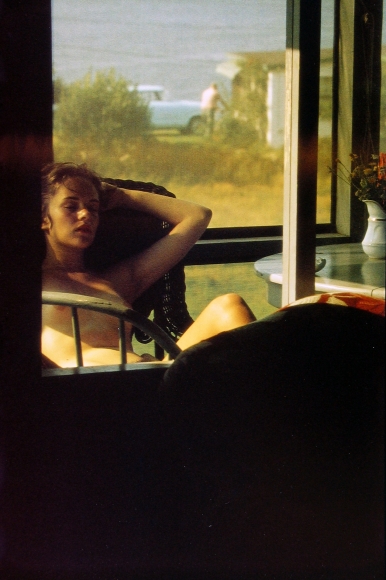 Saul Leiter - Early Color - Howard Greenberg Gallery - 2014