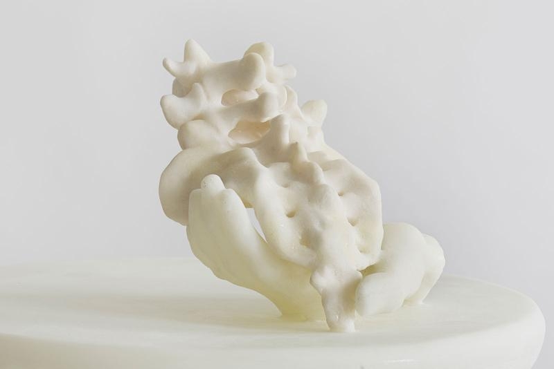 Janine Antoni to return, 2014