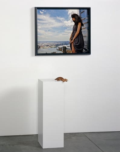 Janine Antoni Conduit, 2009
