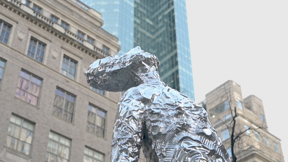 Tom Friedman's Looking Up (2020)