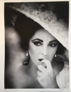 Firooz Zahedi , My Elizabeth, Portfolio