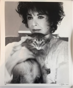 Firooz Zahedi , My Elizabeth, Portfolio