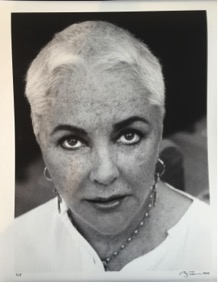 Firooz Zahedi , My Elizabeth, Portfolio