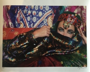 Firooz Zahedi , My Elizabeth, Portfolio
