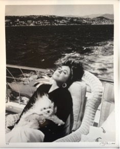 Firooz Zahedi , My Elizabeth, Portfolio