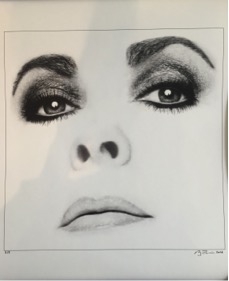Firooz Zahedi , My Elizabeth, Portfolio