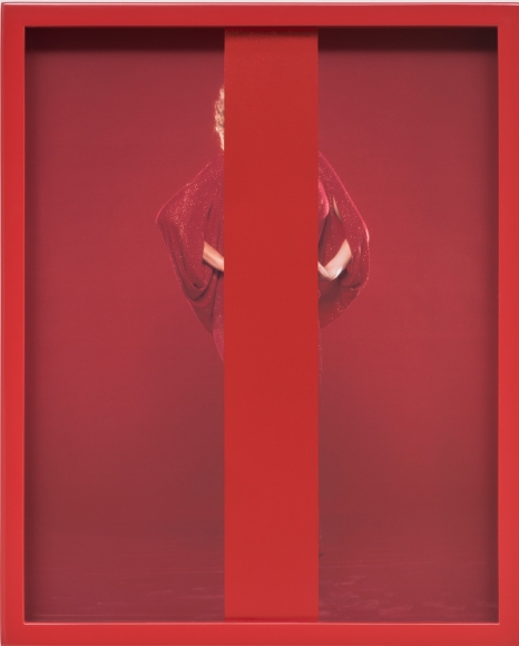 Elad Lassry, Untitled (Red), 2013