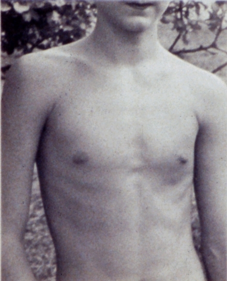 Collier Schorr, Shirtless, 1994