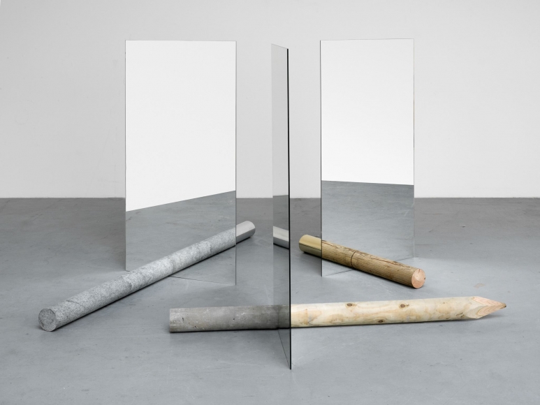 Alicja Kwade, Light Transfer of Nature I, 2015