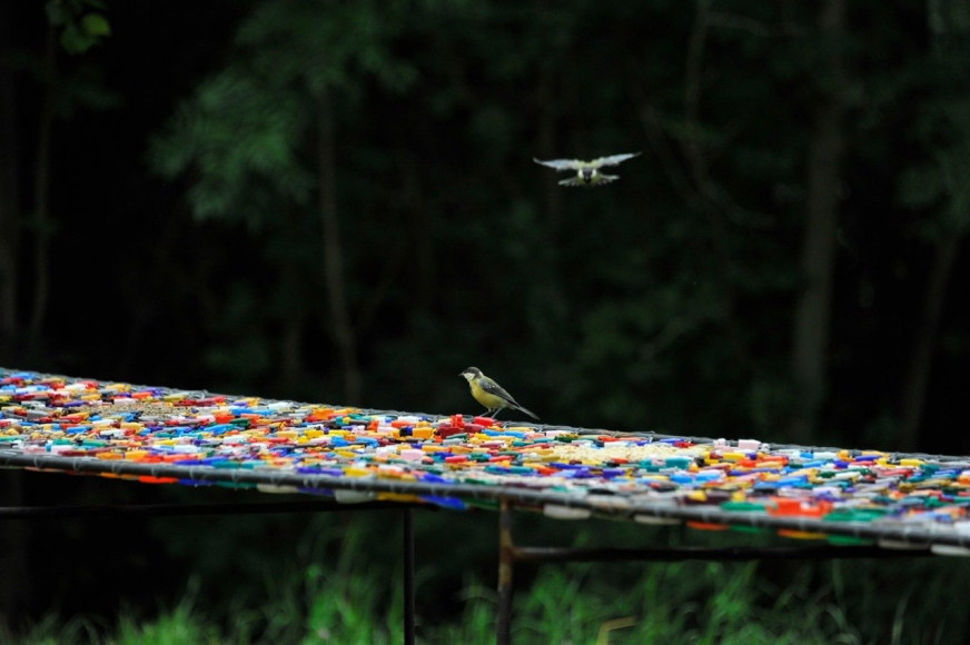 Rob Pruitt, Installation view: Struktur & Organismus, Mühldorf, Austria, 2014