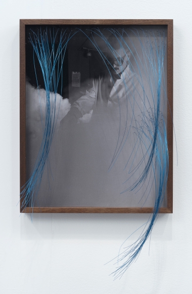 Elad Lassry, Man (lab), 2017