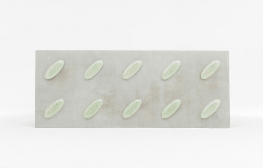 Marina Pinsky, Pharmakon XVI, 2015