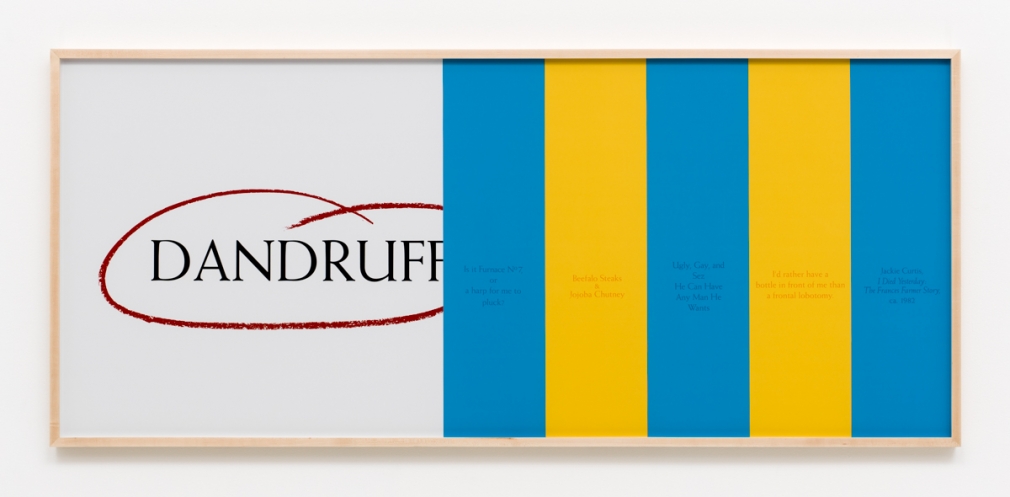 Larry Johnson, Untitled (Some Details with Dandruff Circled), 1995