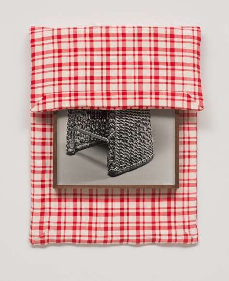 Elad Lassry, Landscape (Wicker), 2014