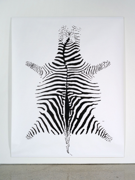 Hans-Peter Feldmann, Zebra
