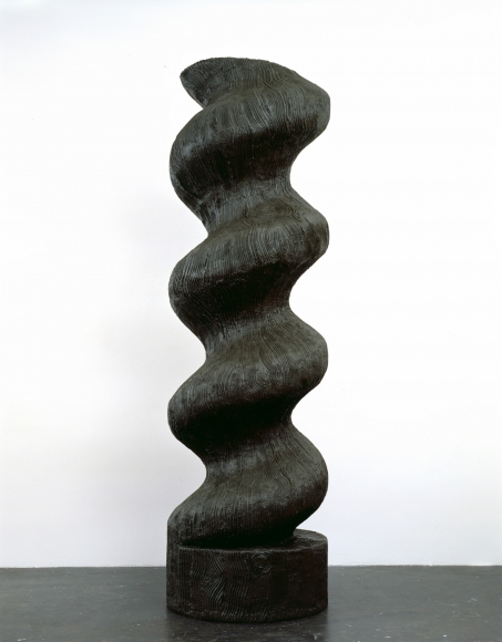Valentin Carron, 6 jours pour convaincre, 2008