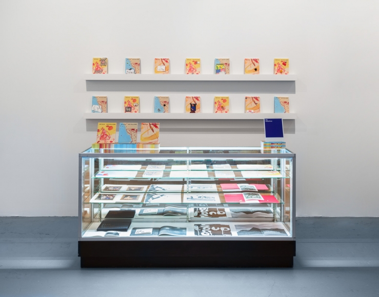 Sue Williams, Details, Printed Matter LA Art Book Fair, 303 inPrint