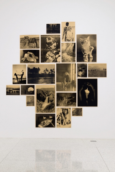 Hans-Peter Feldmann, Sunday Pictures (Sonntagsbilder), Installation view: "Ordinary Pictures," Walker Art Center, 2016