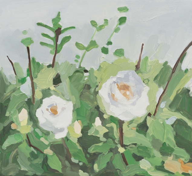 Maureen Gallace, White Roses, 2013